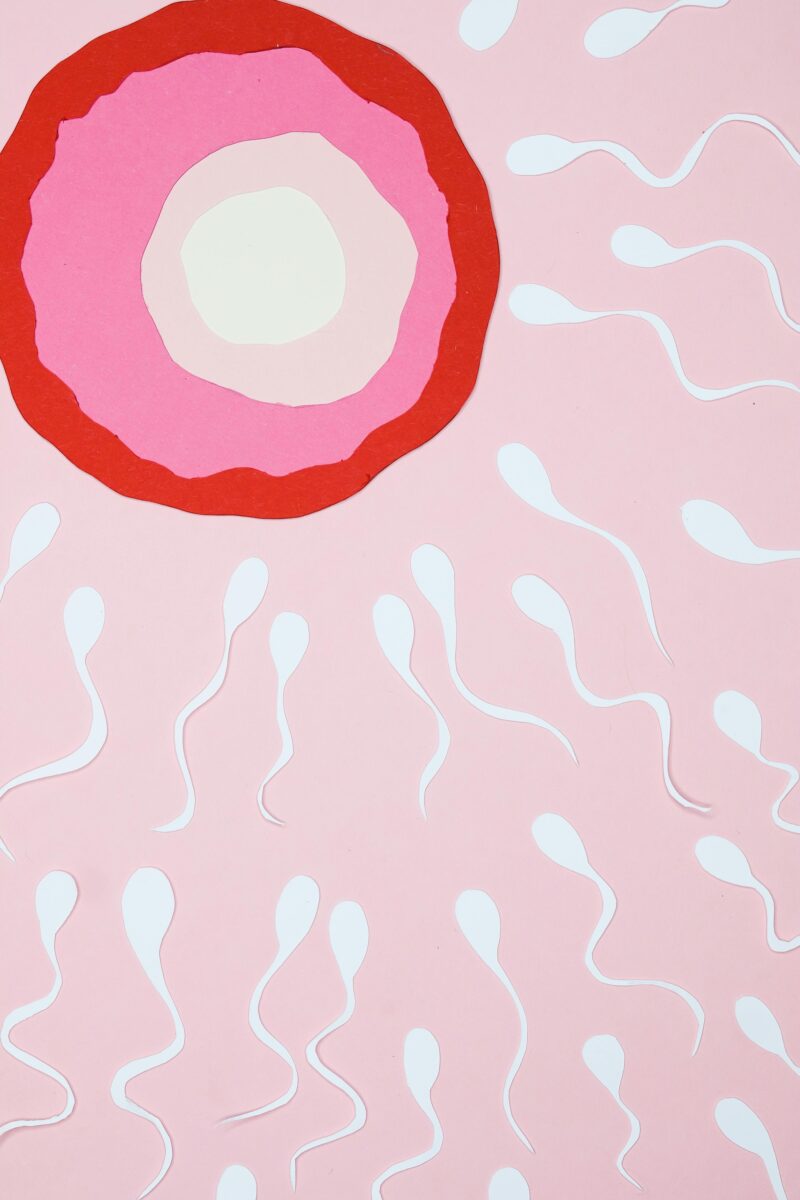 Acupuncture can help with conception. It thickens the uterine lining, improves blood flow and circulation, and helps with implantation.