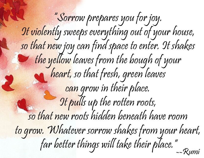 Letter from the Founder Erin Pass Acupuncture Clinic of Boulder