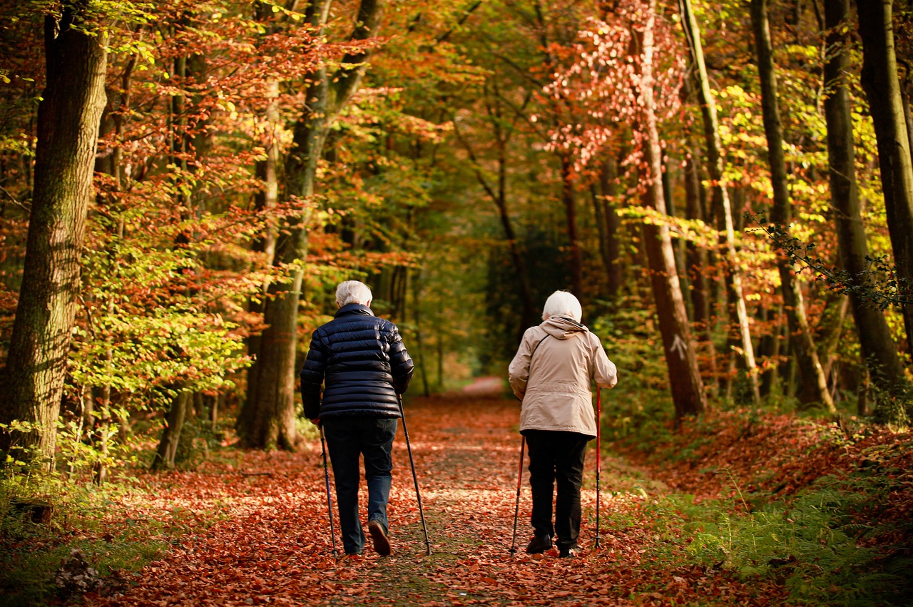 Strengthening Immunity & Preventative Care for Cold Season