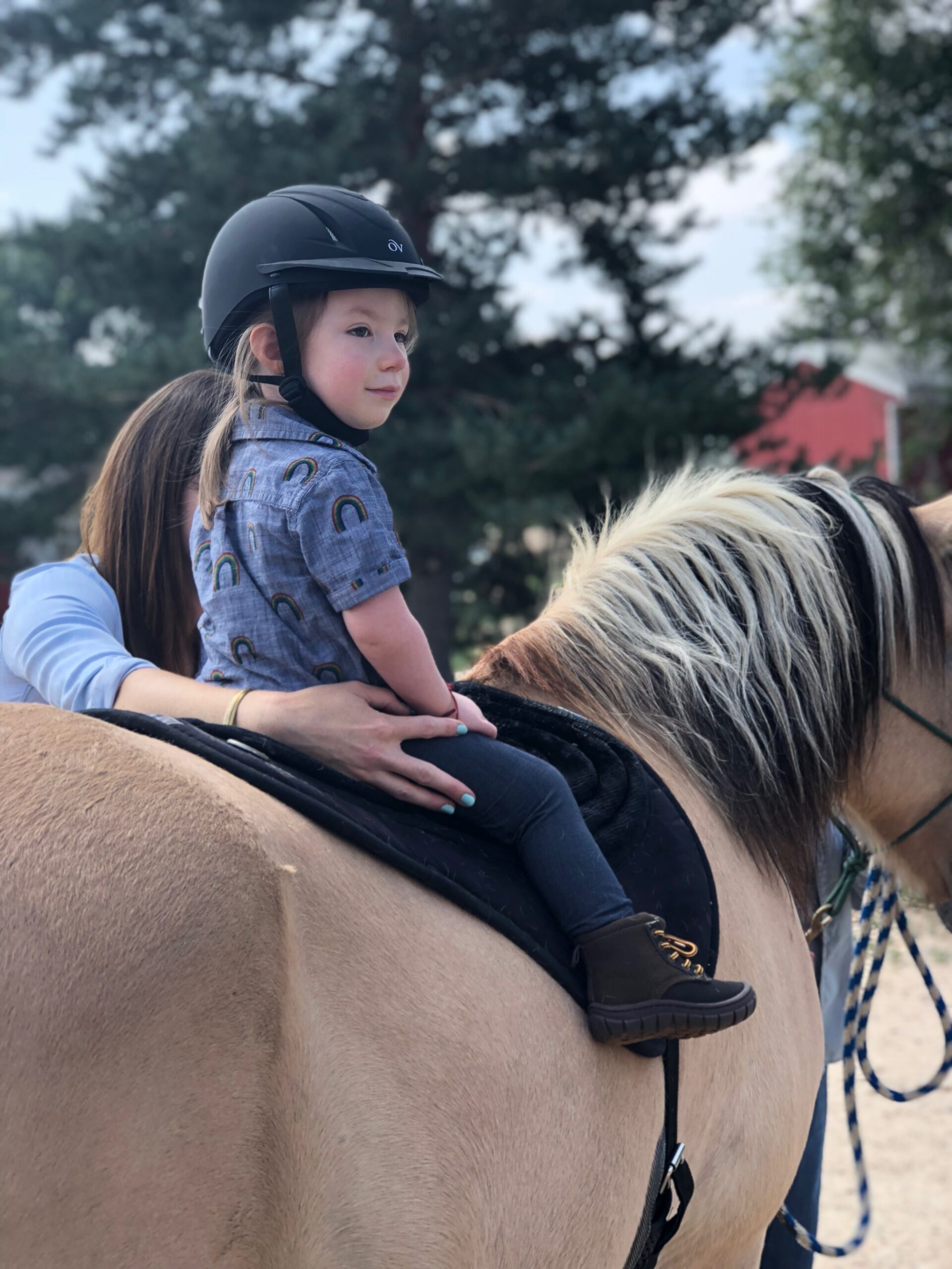 Using Equine Movement to Support Speech Therapy