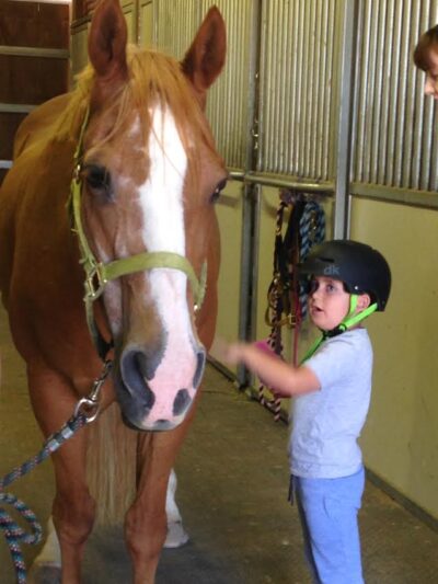 Cathy Lauderbaugh of Creative Strategies uses horses to help kids