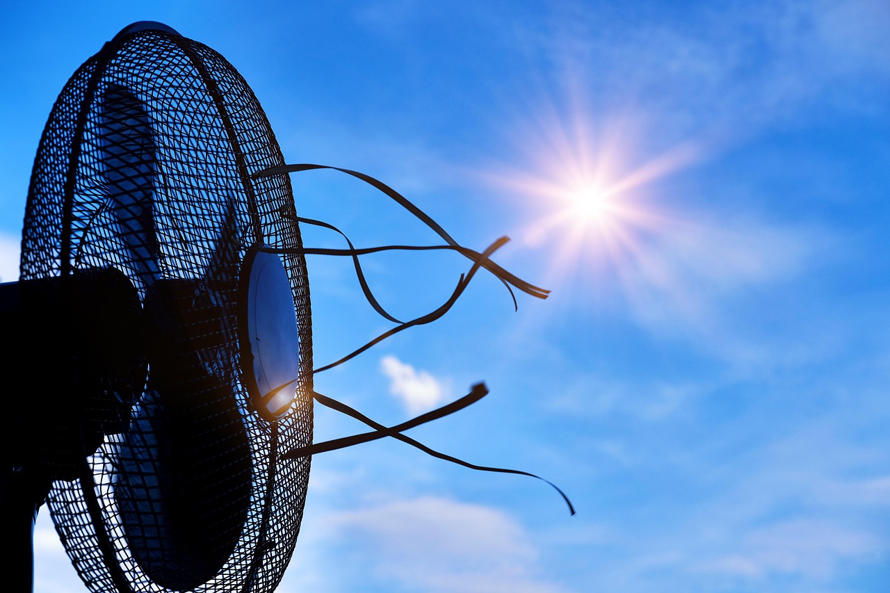 Food as Medicine: How to Stay Cool and Balanced with TCM in Summer